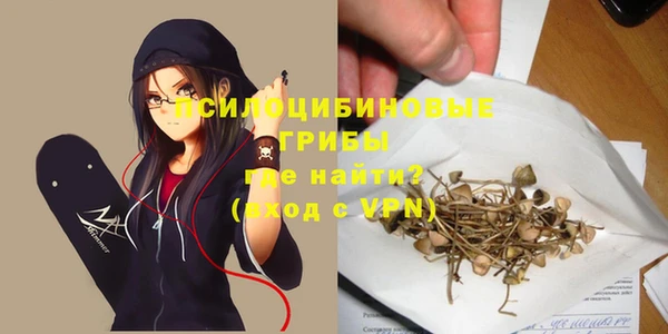скорость Щигры