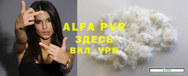 скорость Щигры