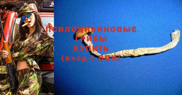 герыч Щучье
