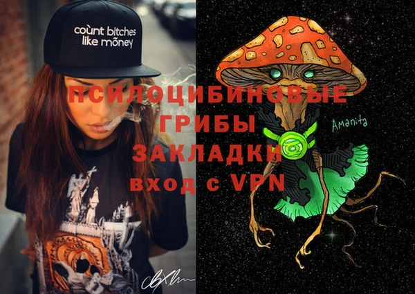 герыч Щучье