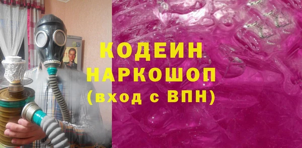 скорость Щигры