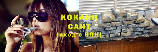 скорость Щигры