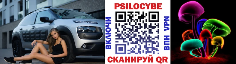 сколько стоит  Бийск  Галлюциногенные грибы GOLDEN TEACHER 