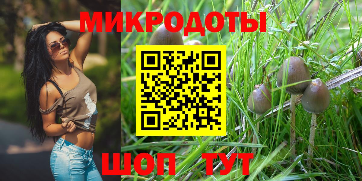 Бийск  Псилоцибиновые грибы MAGIC MUSHROOMS  Вход с VPN 