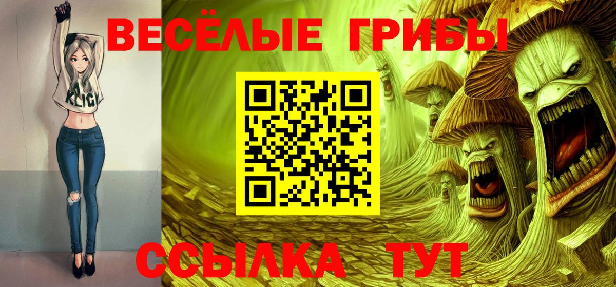 Псилоцибиновые грибы GOLDEN TEACHER  Бийск 