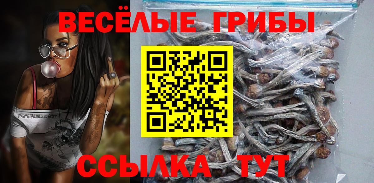 Галлюциногенные грибы Cubensis Бийск