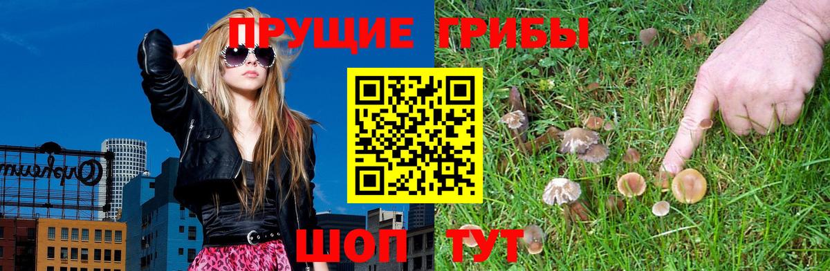 Псилоцибиновые грибы Magic Shrooms Бийск